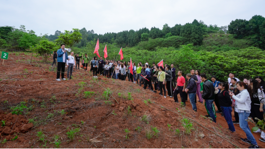 省ag亚娱集团集团开展龙泉山都会森林公园 “包山头”植树运动